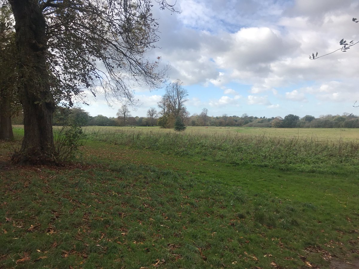 AccidentalLight's tweet photo. The site of Nonsuch Palace, “No such palace the equal of its magnificence”. Nothing remains. #LondonLoop #LL06 #LL07 https://t.co/b0DGJdtXHX