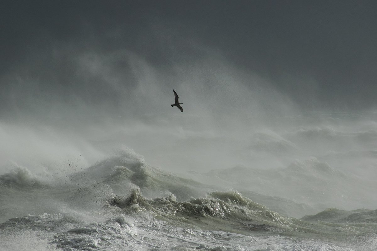 Some great conditions yesterday on the coast. #StormBrian