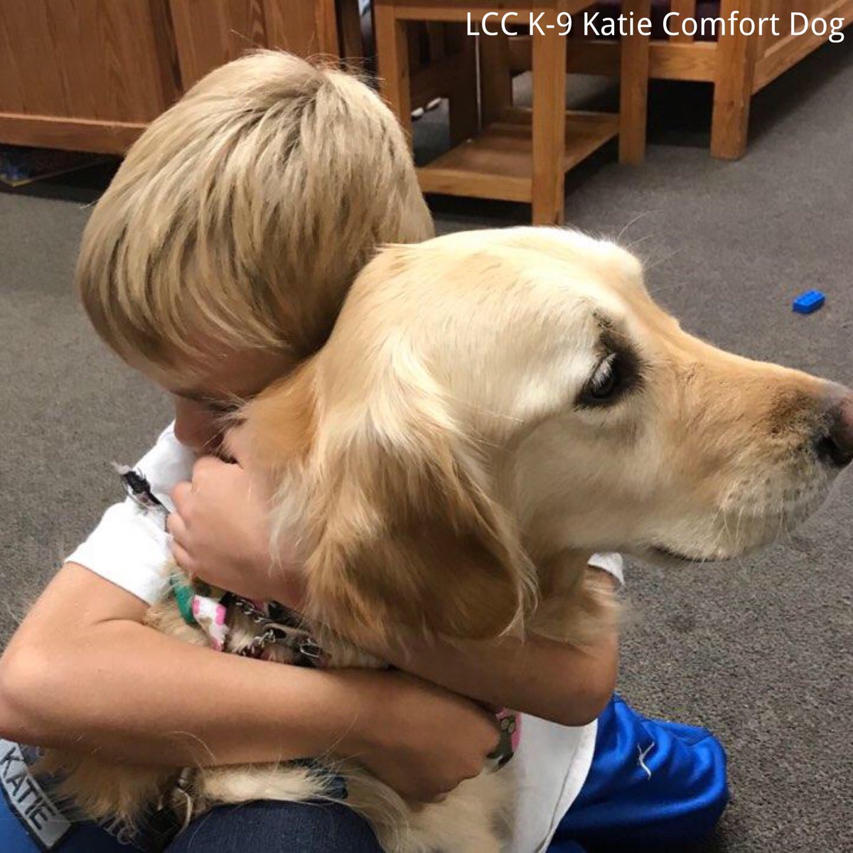 katiecomfortdog's tweet photo. God is our merciful Father and the source of all comfort. He comforts us in all our troubles so that we can comfort others. 2 Corinthians1:4 https://t.co/yxhXbbsDcA