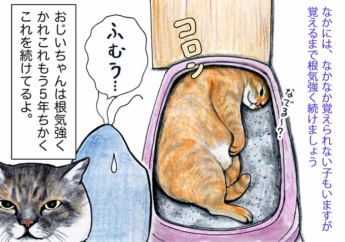 @nyancow 困ったやつさ。
ちゃーはもともと地域猫で、田中さんチでメシももらうし、小屋もあるんだよ。
田中さんチの花壇でシッコするらしいんだ。
うちにはあらゆる形状・すなのトイレが7個あるけど、寝てばっかりなんだよ。 