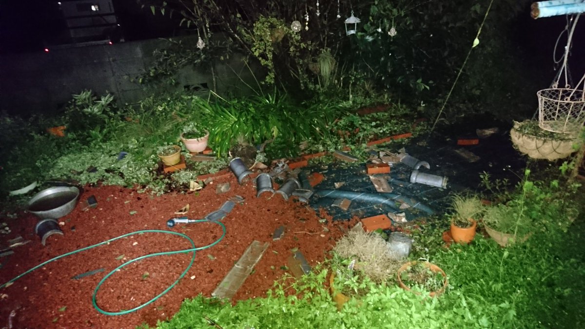 なつのまろ tweet media