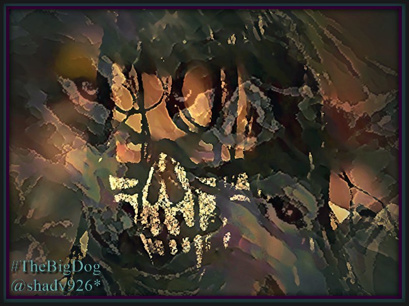 Shady926's tweet photo. @romanreigns568 @LeeshaNDessy @April_Showers24 @dnebel62 @rockfan_86 #Roman if you had your way you would be at #TLC with bells on #KickinAssTakinNoPrisoners #RestUpChief #TheresAlwaysAnotherBigFight #Fact https://t.co/Nt8mzrbKeB