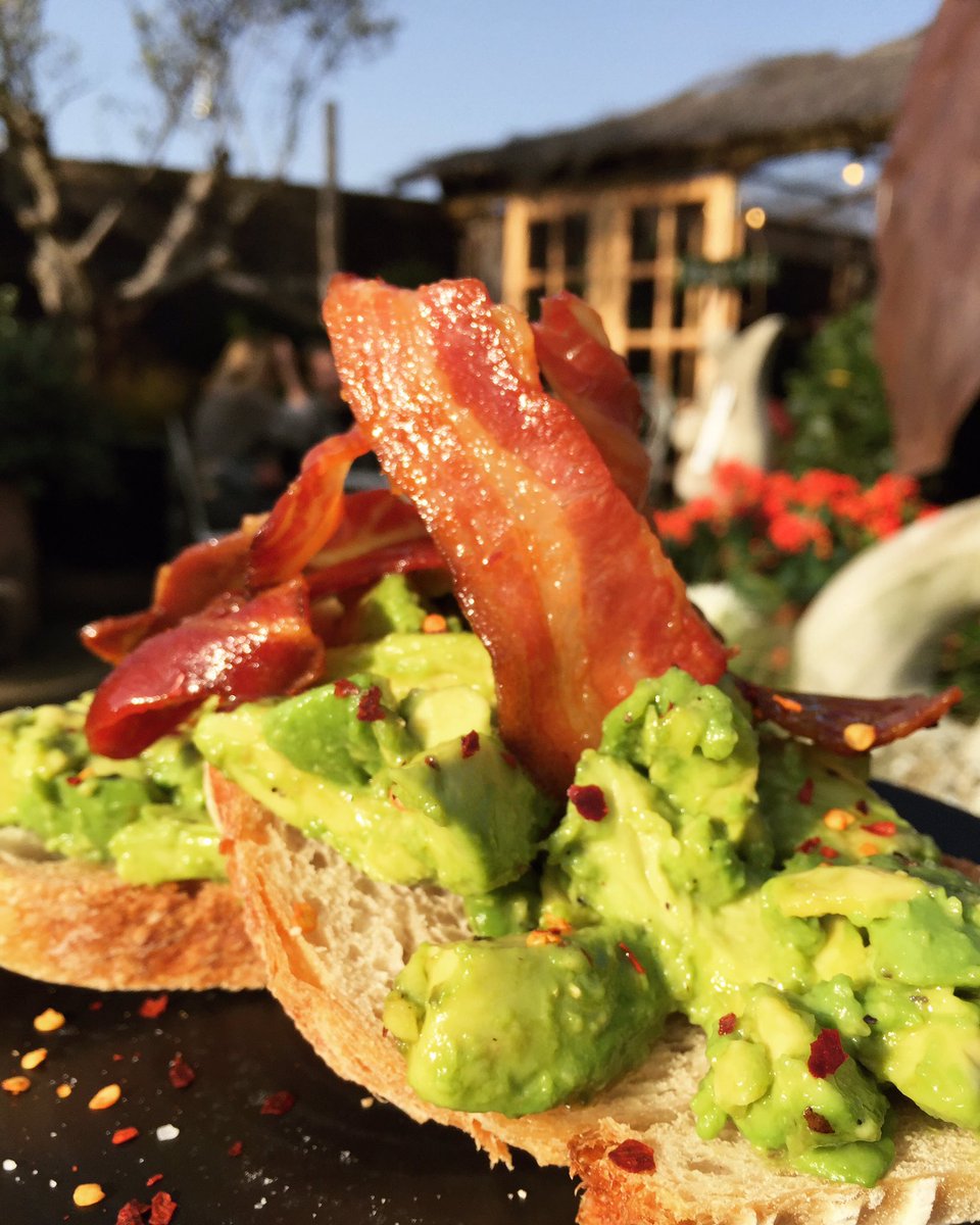 arbour_cafe's tweet photo. Just what I need on Sunday #avocadotoast #bacon #kentishtown #camden #sunday https://t.co/hKtybQISUF