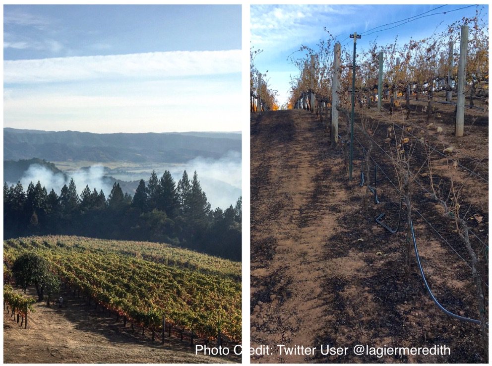 CAL_FIRE's tweet photo. #AtlasFire [update] north &amp; west of Napa (Napa &amp; Solano Co) is 51,624 acres &amp; 92% contained. #SouthernLNUComplex  https://t.co/emojimpbF5 https://t.co/hrKipzyDKy