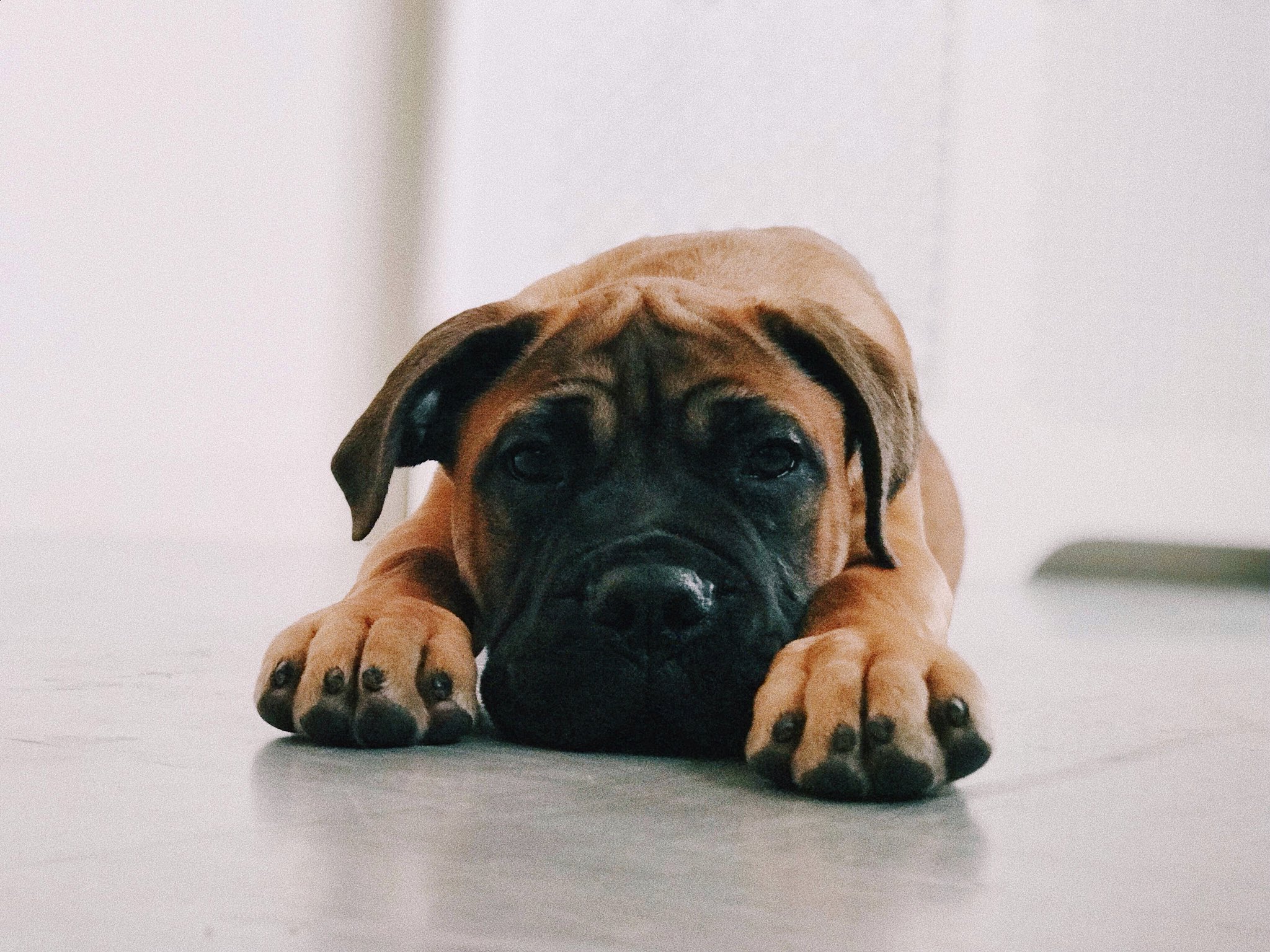 Jay Swingler on Twitter "best thing in the whole world ️…