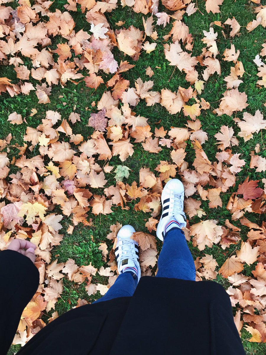 ahsatinlee's tweet photo. Walking to places. https://t.co/YgqUChJQqS