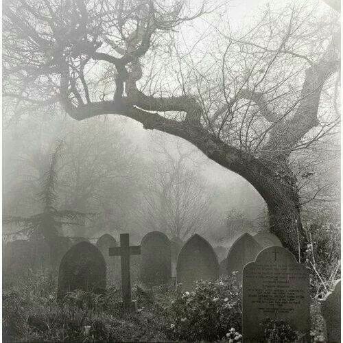 BunnieKat1962's tweet photo. #CemetarySunday https://t.co/GB02qlY5s1