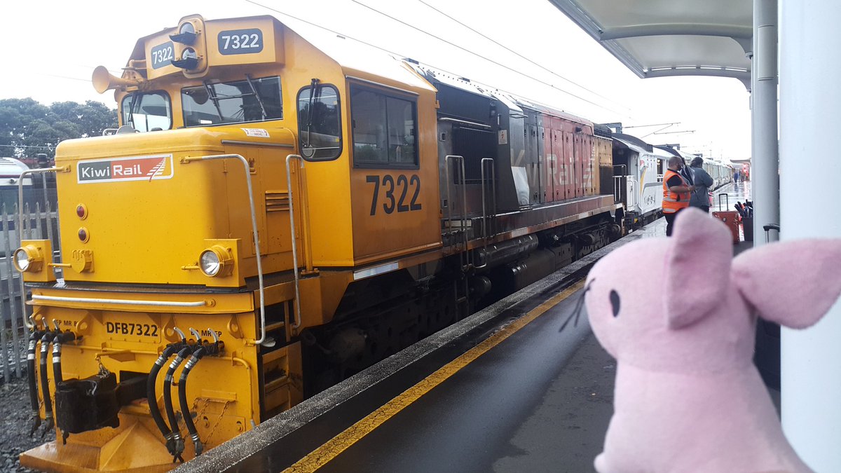 serschmooples's tweet image. We're taking the train back to Wellington. I've never been on a train before... 😶 #newzealand #northernexplorer