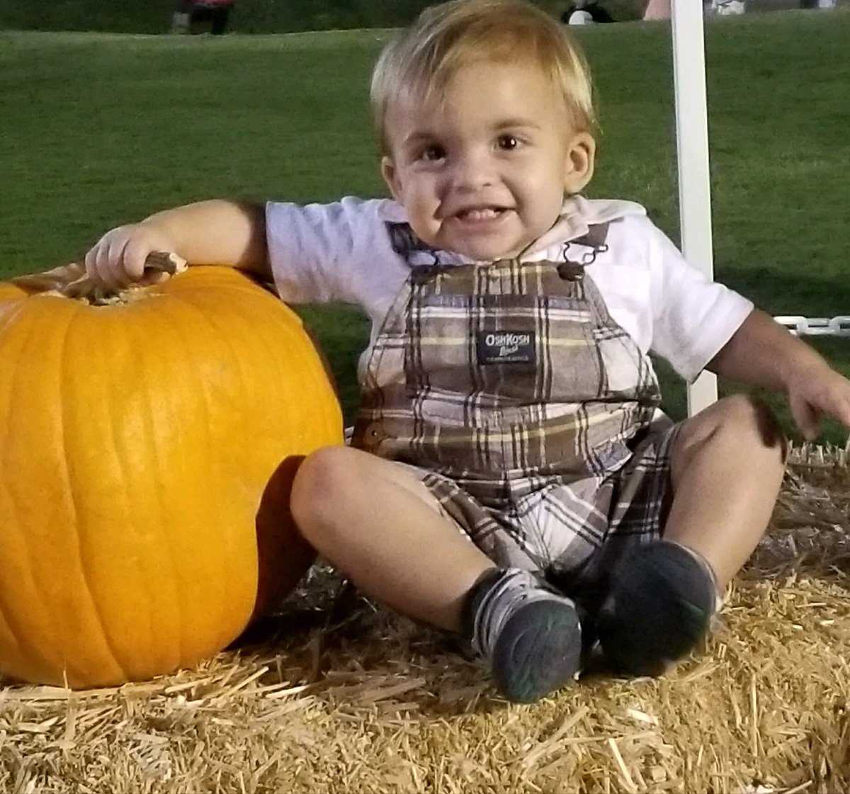 It’s fall in Arizona....had to wear tennis shoes with our shorts at the Pumpkin Patch