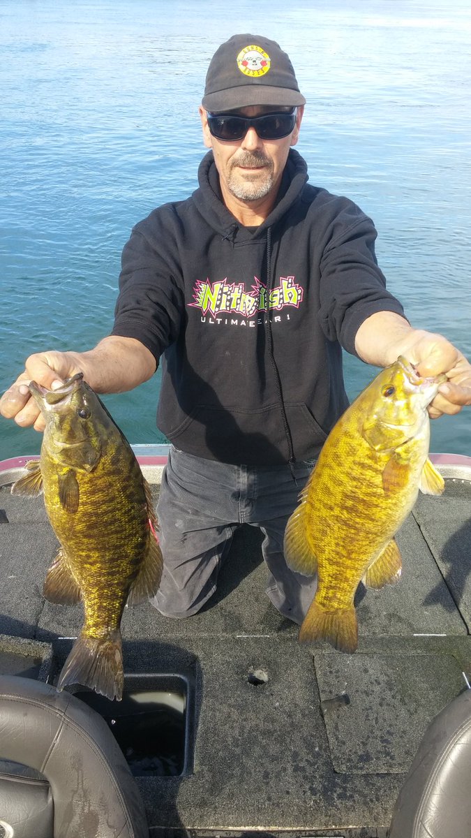 TZFishing's tweet photo. Sorry I can't.....my hands are full #smallieslayer #footballs https://t.co/qEN4aELMAF