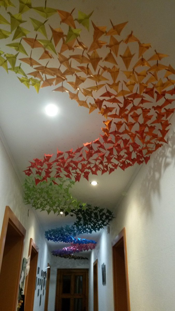 80m transparenter Faden, 15m doppelseitiges Klebeband und ca 4 Monate Arbeit. #1000Kraniche