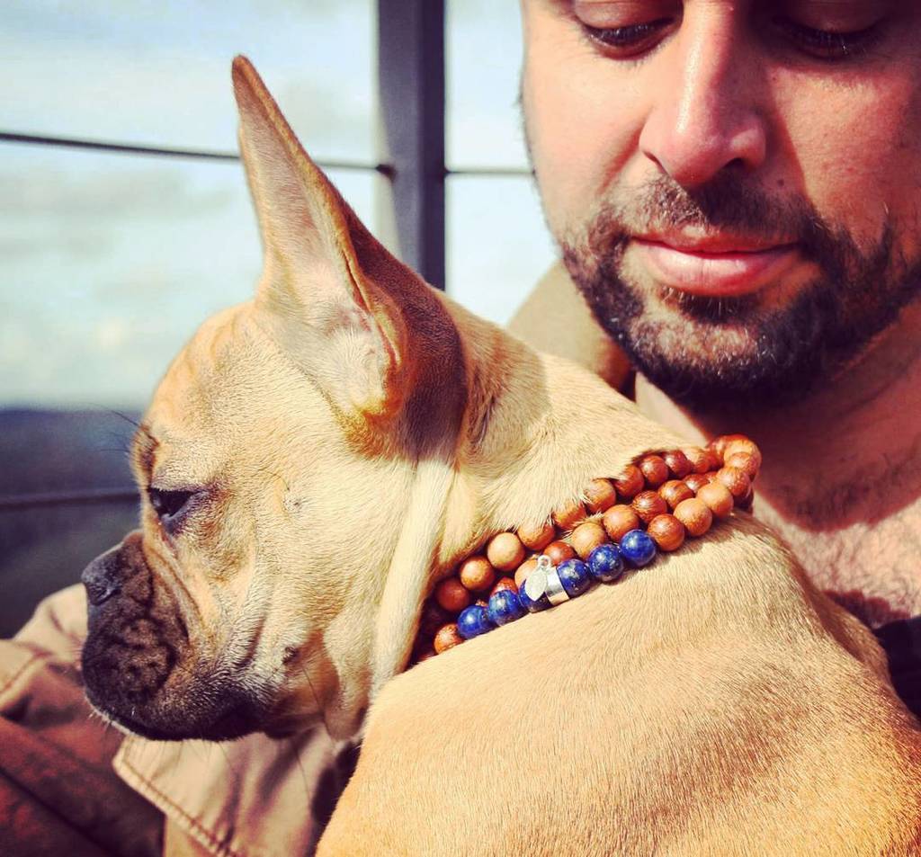 MyChiBusiness's tweet photo. A beautiful day at the castle ruins of Gräfenstein. The dog likes the prayer necklace :) #fall #mychijewellery #en… https://t.co/TC8hhWt7Dd https://t.co/uLlRKPTN79