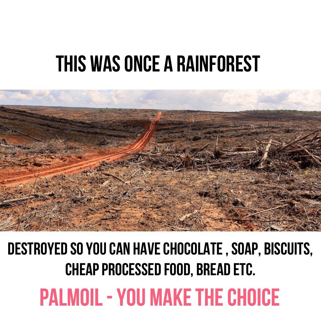 PurePapua tweet picture