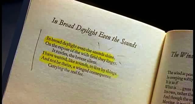 FrancescaSim8's tweet photo. Sounds shine - #LisbonStory https://t.co/TzzVYLpChy