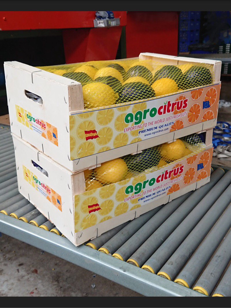 InfoAgrocitrus's tweet photo. Primofiori lemon - caliber 4 https://t.co/eXOdFgYls6
