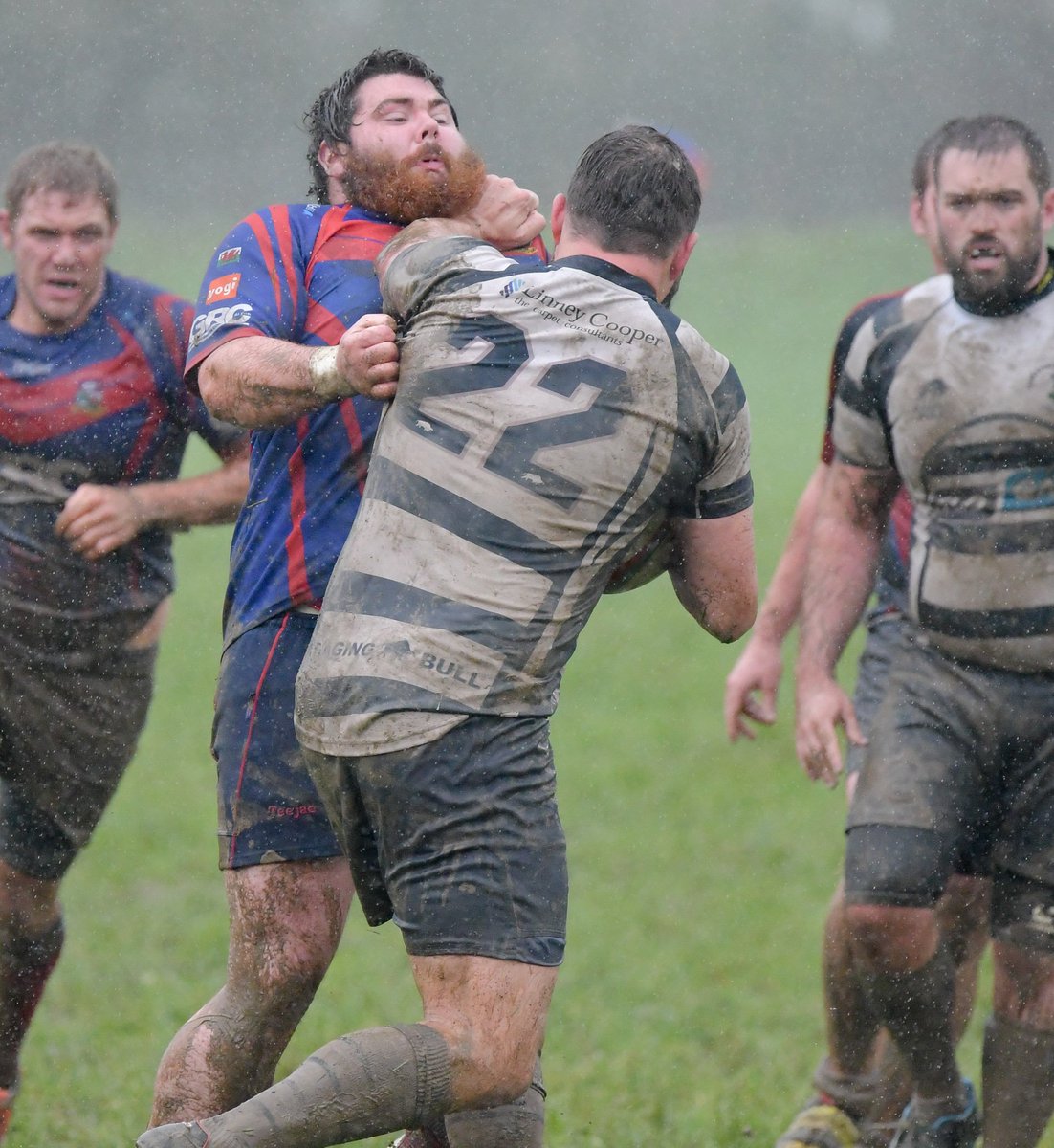 ovalzonerugby's tweet photo. Album: 127 fantastic pics by Trevor Edwards from yesterday's @RygbiBala v @ColwynBayRFC game #Div1North https://t.co/mE3E9sayA3 https://t.co/WLBlsiaVnc