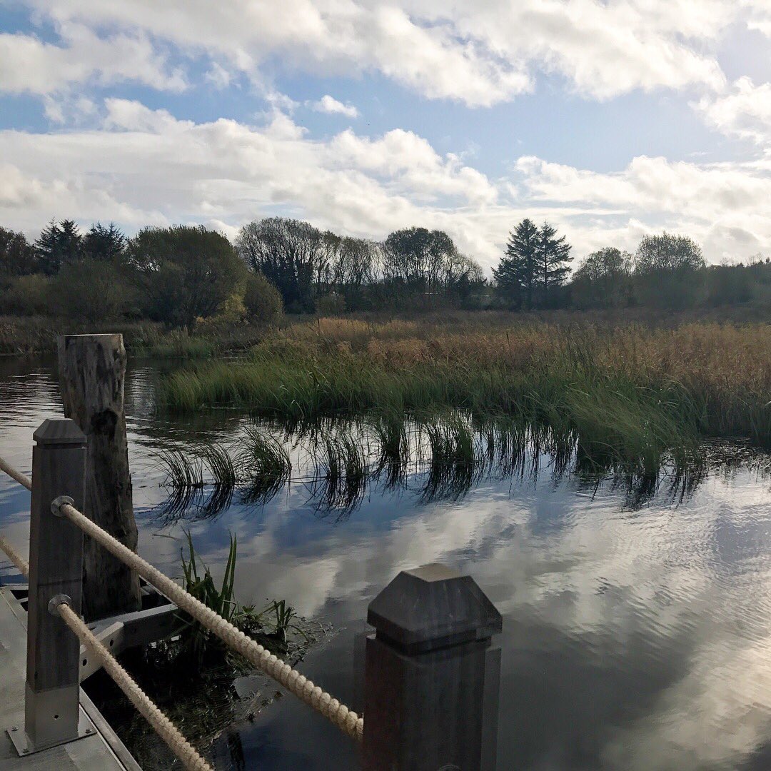 rebeccahfarrell's tweet photo. Lovely stroll on the #floatingboardwalk &amp; canal walk at Acres Lake #Drumshanbo this afternoon #lovelyleitrim https://t.co/w75CVojeAZ