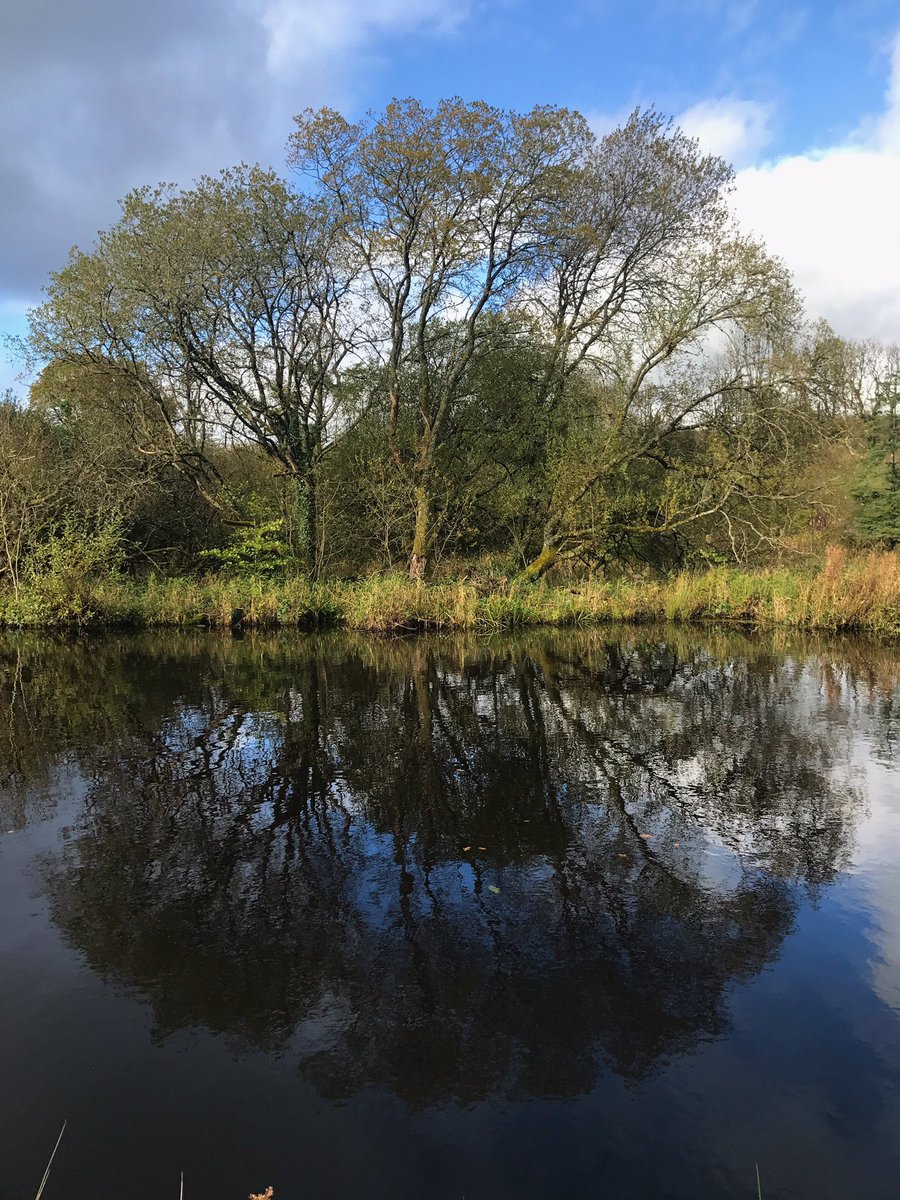 rebeccahfarrell's tweet photo. Lovely stroll on the #floatingboardwalk &amp; canal walk at Acres Lake #Drumshanbo this afternoon #lovelyleitrim https://t.co/w75CVojeAZ
