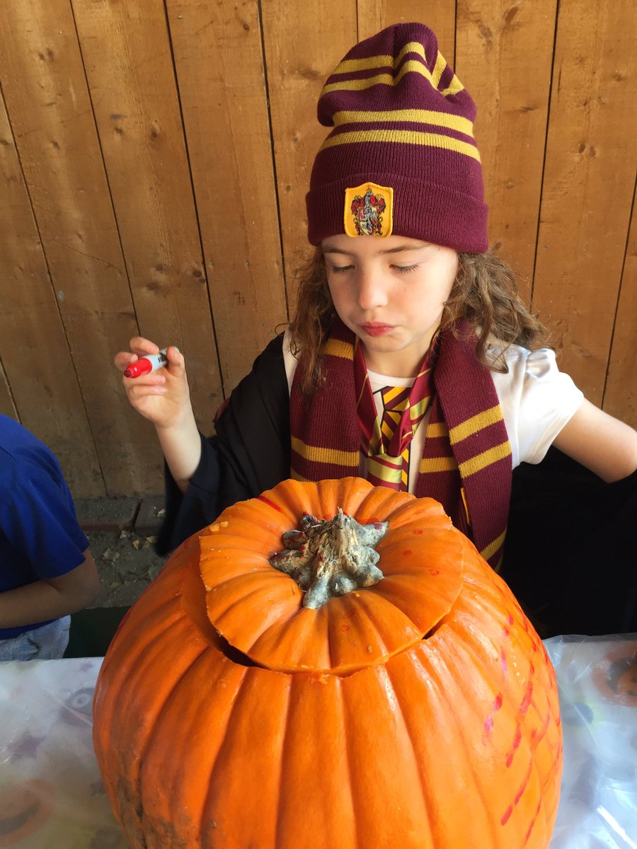 CShawRim's tweet photo. Pondering her pumpkin at the #cabbagetown #boobarn https://t.co/lUe68vEAa2