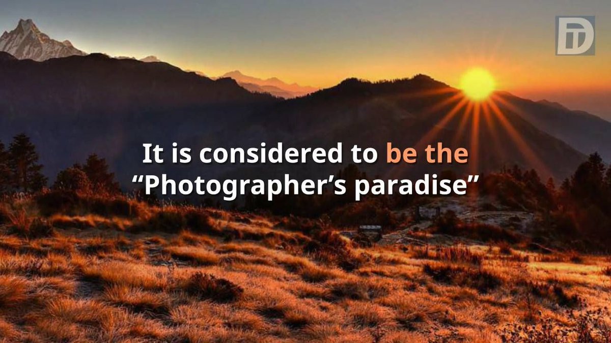planetlocal tweet media