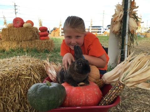 No wind today. Just sunny skies, mazes, tractor rides &amp; lots of pumpkins!