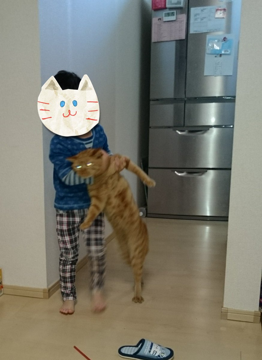大量更新 ヘタクソなのに可愛すぎるとはこれいかに ねこの写真ヘタクソ選手権 ねこの写真へたくそ選手権 ねこの写真下手くそ選手権 Togetter 大量更新 ヘタクソなのに可愛すぎるとはこれいかに ねこの写真ヘタクソ選手権 ねこの写真へたくそ選手権 ねこの写真下手くそ選手権 Togetter