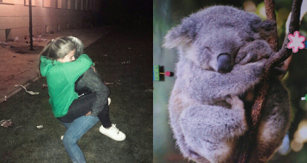 silibael's tweet photo. Diferencias? Porque yo no las veo🐨 https://t.co/p9ZzWQWi0l