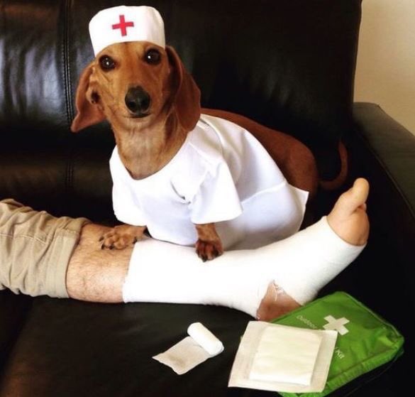 mandellivaleria's tweet photo. fique tranquilo sua perna vai ficar boa ou nao me chamo dogtor https://t.co/qAJ79XKVRs
