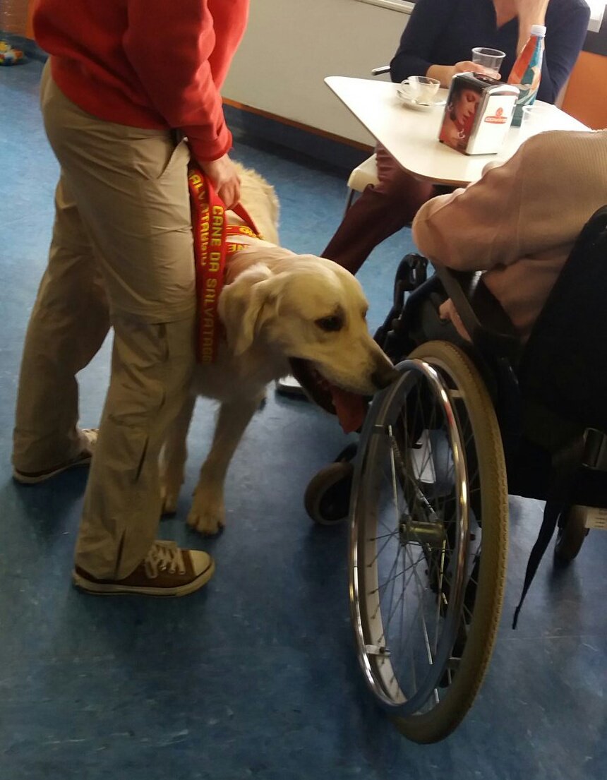 maolindas's tweet photo. Oggi in casa di cura Pet Therapy! È bello vedere che queste cose esistono veramente, davvero bello!!!
#22ottobre 
#dimostrami https://t.co/7aU2Et0Ykq
