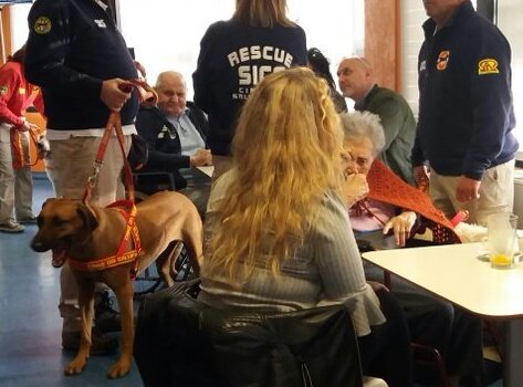 maolindas's tweet photo. Oggi in casa di cura Pet Therapy! È bello vedere che queste cose esistono veramente, davvero bello!!!
#22ottobre 
#dimostrami https://t.co/7aU2Et0Ykq