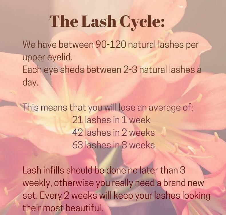 HouseOfLashesKW's tweet photo. #lashes #lashextensions #healthylashes #lashcare  #colouredlashes  #bhappygetlashes #bookonline  https://t.co/3jfszl2YtD https://t.co/goSBvfCiuv