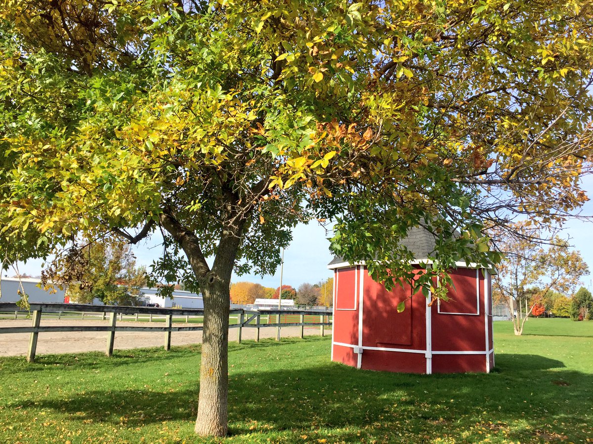 downtonluva's tweet photo. #Carp Fairgrounds #Curling #MumStop #HuntleyCurlingClub https://t.co/F24gwxyl5y