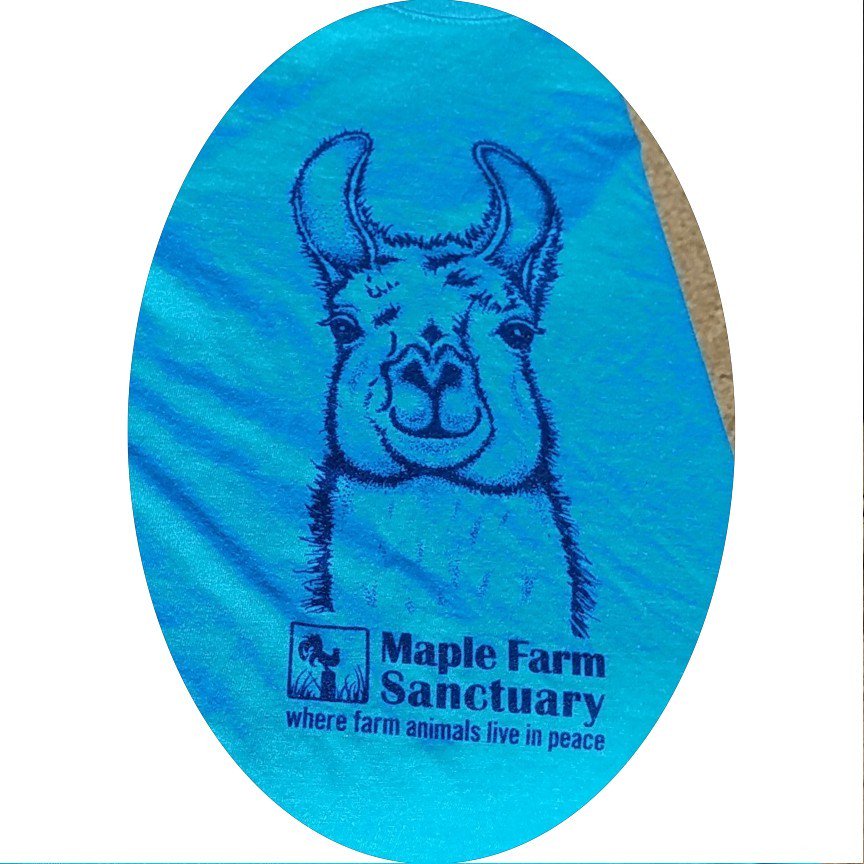 BurttPC's tweet photo. @llama_ajol Hey Amber - just leaving a Veg Fest in Boston &amp; saw this fun shirt with a llama - is there an address I can mail it to 4 u ? https://t.co/u8THciSF5i