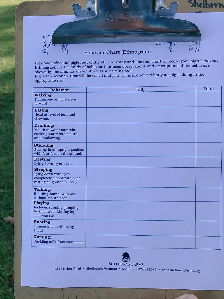 scomorrison's tweet photo. Literacy and math on the #farm? We observed pigs and tallied what they were doing every ten seconds then discussed. #FarmBasedEd #ElonEd https://t.co/y0FcE71zxC