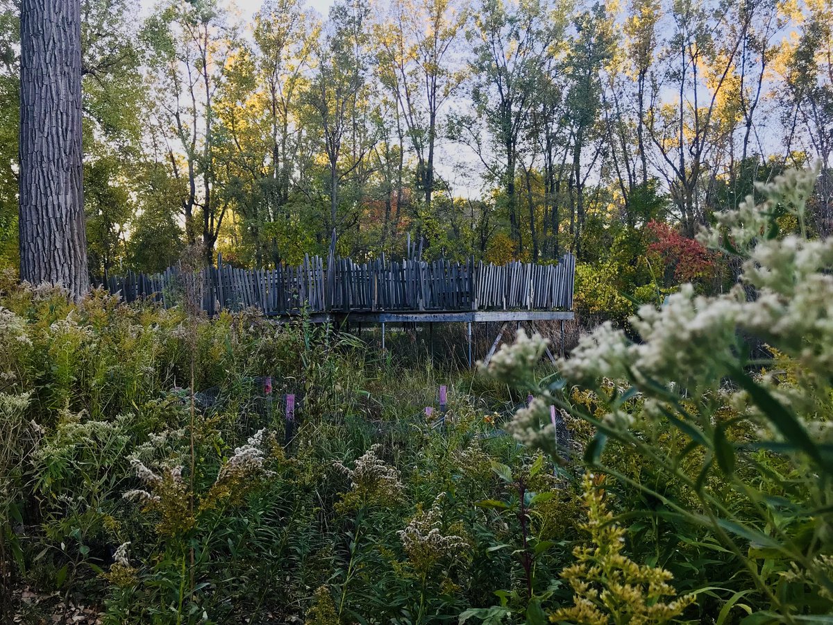 snd5184's tweet photo. HDR Module 14! #photo100 #psbehrend https://t.co/d5USQ3bUjf