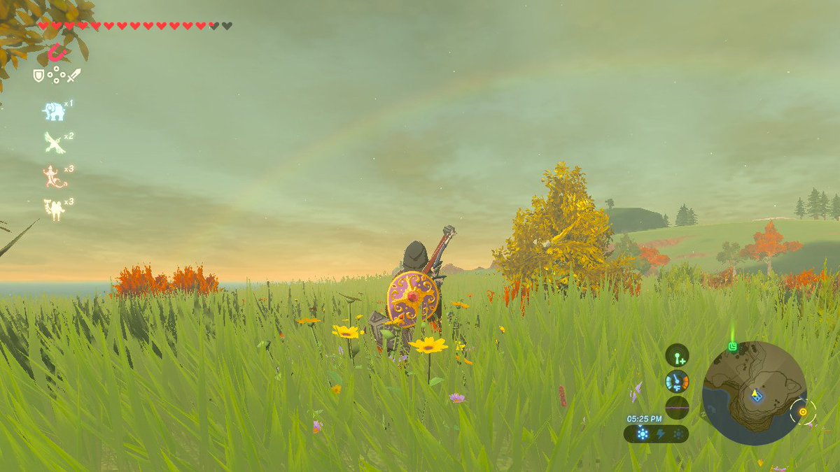 SeayDragon85's tweet photo. #BreathoftheWild #NintendoSwitch finally finished breath of the wild man what a great game https://t.co/RyTVhIIbKd