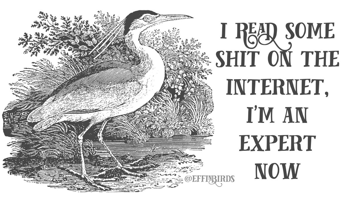 Effin' Birds (@effinbirds) on Twitter photo 