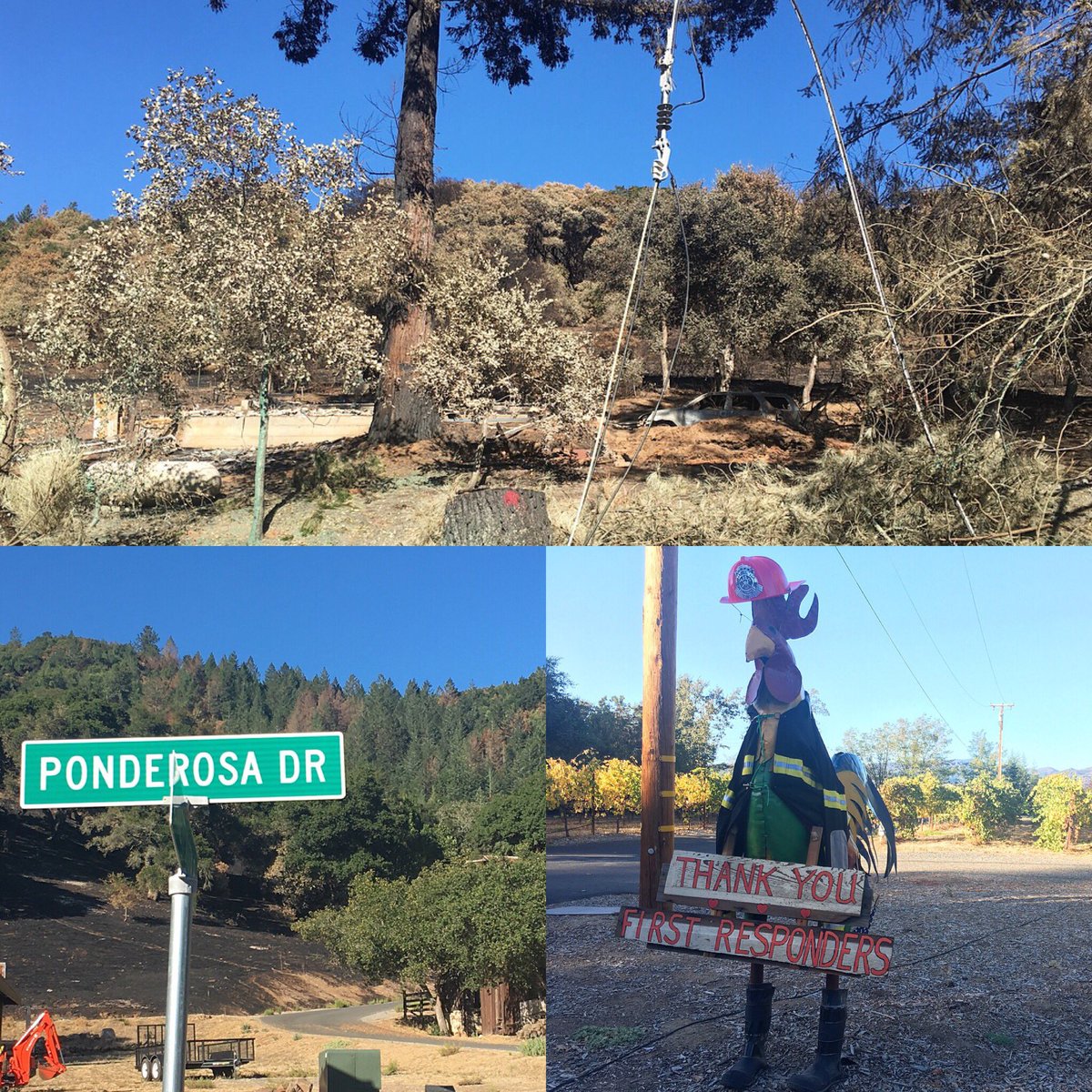 Meaningful to see the destruction &amp; hope present in my hometown of Santa Rosa.
Anyone moved to help can do so here: redwoodcu.org/northbayfirere…