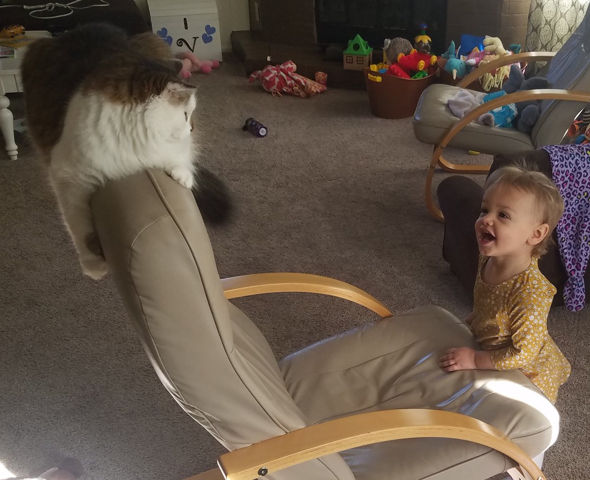 SizzleWhisky's tweet photo. #MrWaffles and princess sizzle https://t.co/JdpkjQzdI9