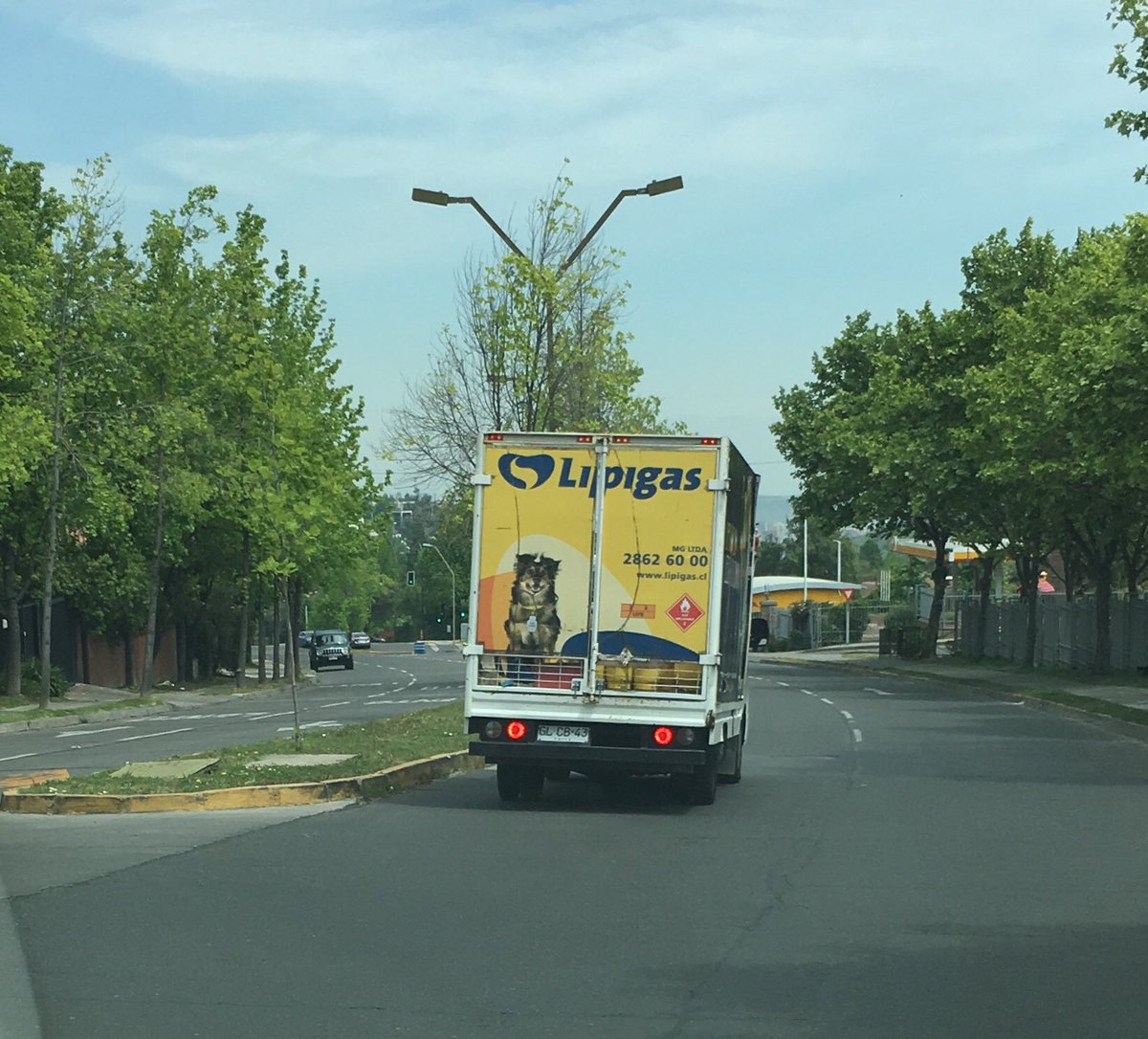 ijchanes's tweet photo. @Lipigas tienen contratado un asesino al volante, Domingo 1300 casi provoca dos accidentes con conductor riéndose a 80 KM/h. Patente GLCB 43 https://t.co/2DK28UaClR