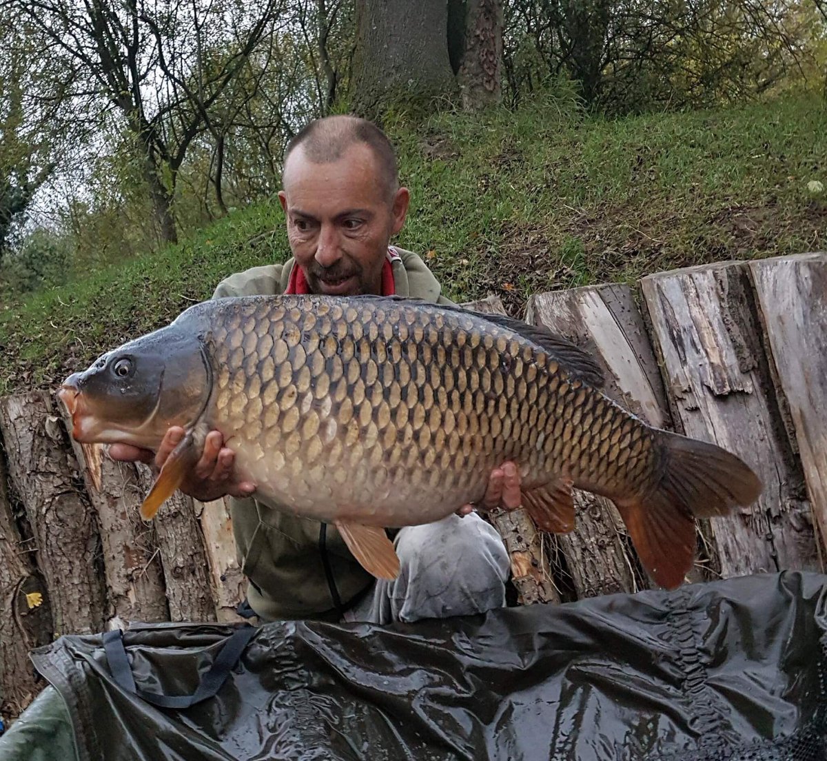 TimbeedlesTim's tweet photo. @BeedlesLake New lake record common 32lb 4oz #carplife #stormbrian #fakebait https://t.co/AMlPDHrUzf