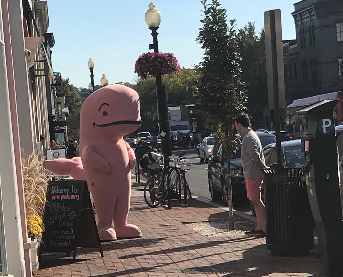 greenhousegoth's tweet photo. THIS IS WHAT GREETS YOU AT THE GATES OF HELL https://t.co/0sfU91BHn4