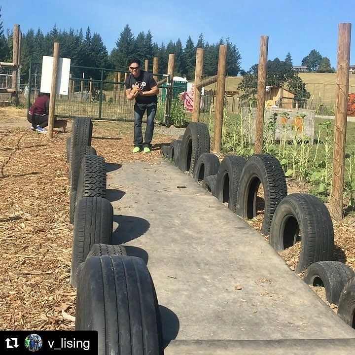 PlumperPumpkins's tweet photo. @v_lising
・・・
Pumpkin bowling 😄
#plumperpumpkinpatch https://t.co/Dp5tc7x9RG