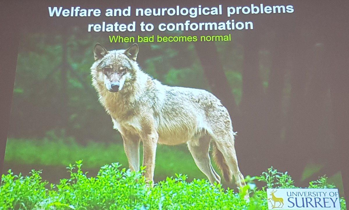 We've had an amazing day <a href="/SurreyVet/">SurreyVet</a> for the <a href="/DogBRG/">Dog Breeding Reform</a> event. Really informative with some good for thought. <a href="/beverleycuddy/">Beverley Cuddy (Smith)</a> you would have ❤