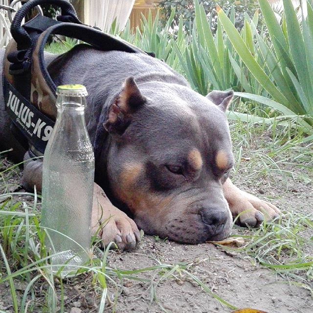 Chi se l'è bevuta tutta??? :-)
#tassoni
Grazie a  📷: @william_wordsworth_magma