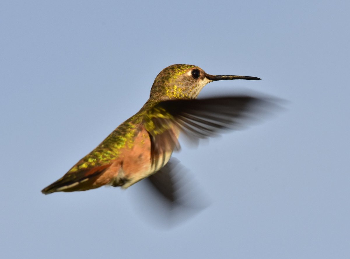 Us Fish And Wildlife On Twitter How Late Is Too Late To Keep