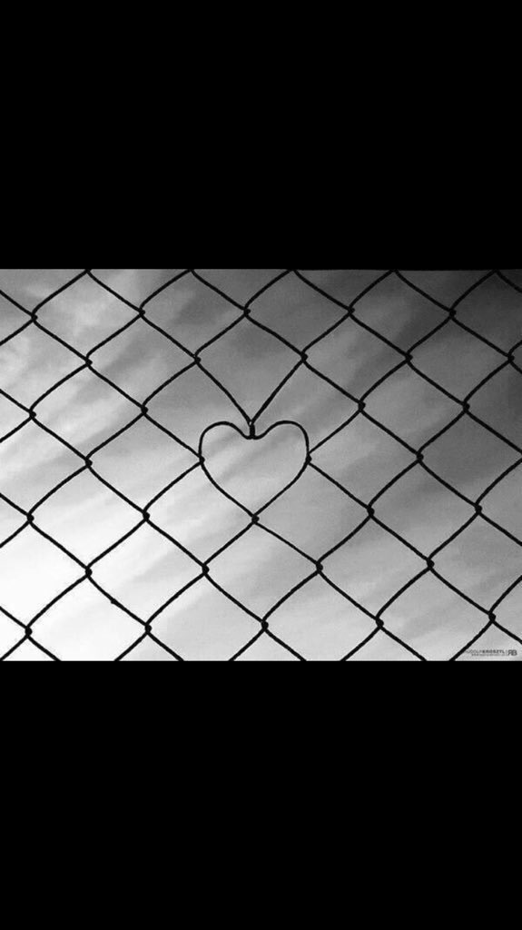 ObnCp's tweet photo. قد يحدث أن نضع سياجا إحترآزيا ...
وفي حقيقة هذه السياجات أنها تنبض بالود ...بالأحترآم 
دآم الأمل حي يرزق ... https://t.co/29EOz9czqn