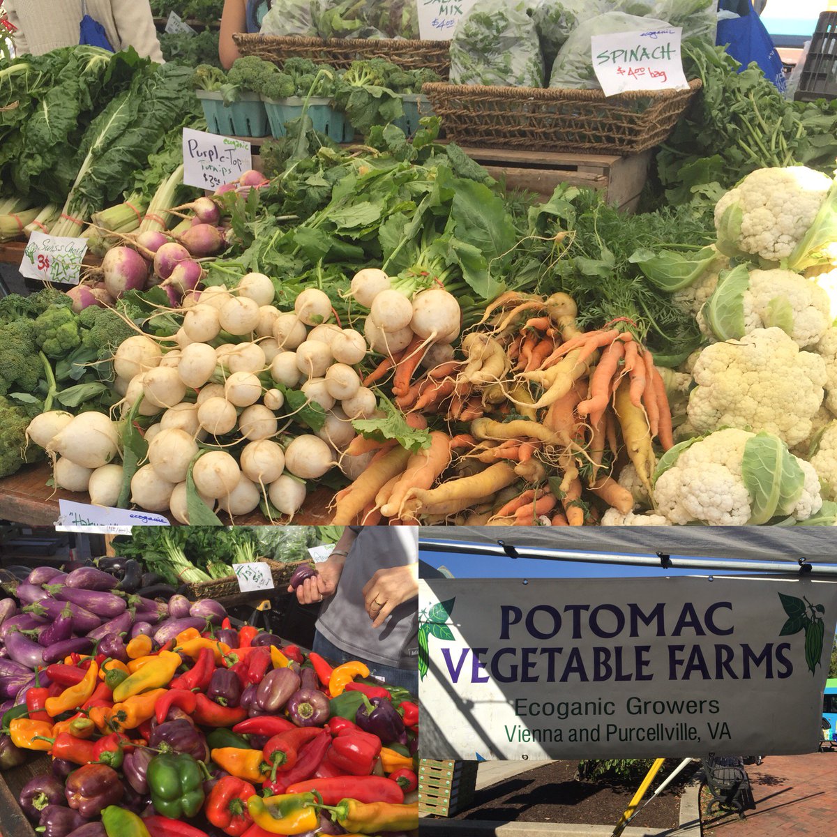 Long_Nutrition's tweet photo. Found great produce and kombucha at the #takomaparkfarmersmarket this morning! https://t.co/n9mYtR8NHf
