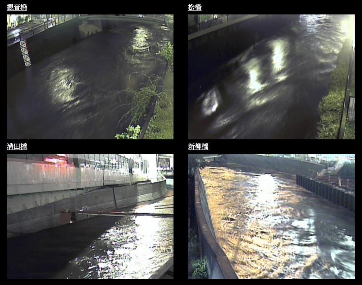 台風21号 東京でもあちこちの川で危険氾濫水位超え 現地画像 ここまでのは初めて見た 野川 浅川 多摩川 他 2ページ目 Togetter