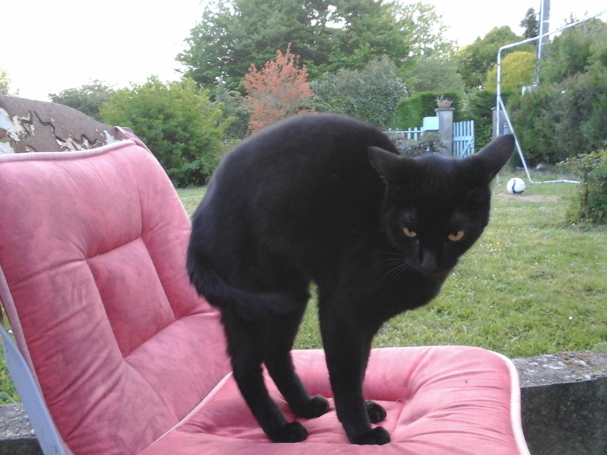 Raphaël Revelaud tweet media